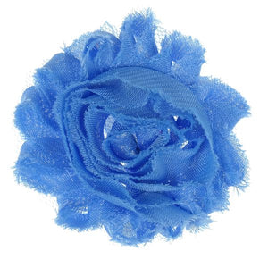 BLUME HIMMELBLAU