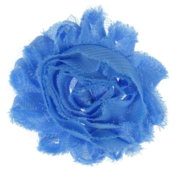 BLUME HIMMELBLAU